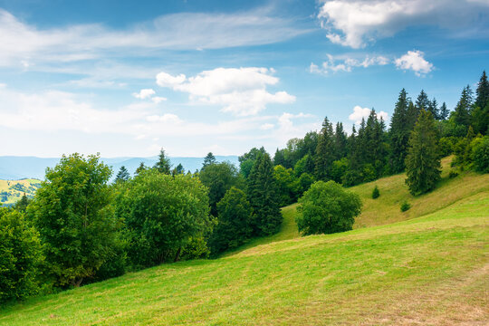 countryside mountain landscape of ukraine. rural fields and forested hills on a sunny day. remote place of mizhhirya district in transcarpathia for summer vacations