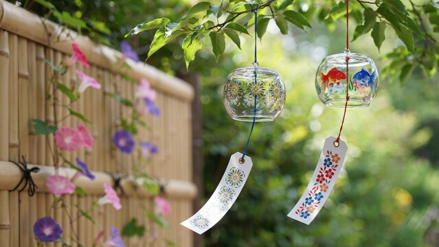 Two japanese glass wind chimes hanging in a garden with morning glories