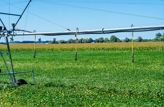 Center pivot irrigation system in a green soybean field on a sunny summer day
