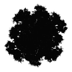 Fototapeta premium Black geometric tree with dots illustration illustration
