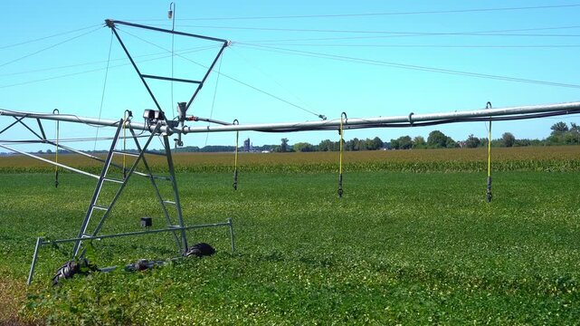 Center pivot irrigation system in a green soybean field on a sunny day