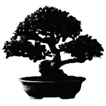 Black and white bonsai tree in a pot with soil illustration
