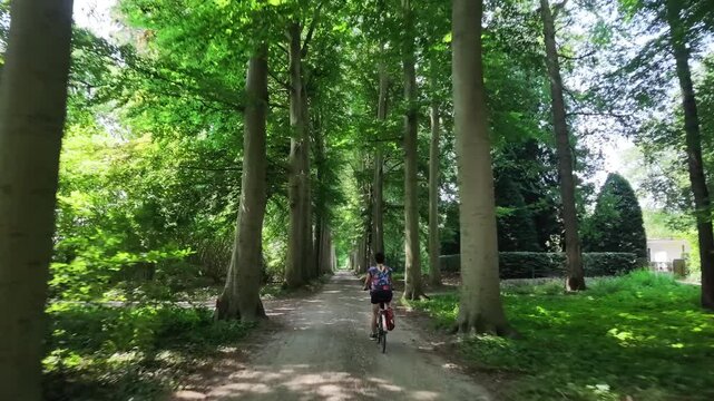 Woman cycling through a green woodland in summer
