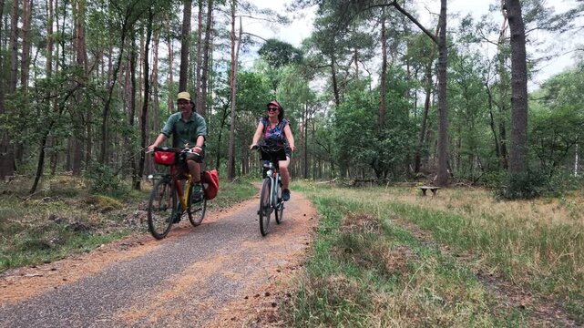 Couple cycling together through a green woodland in summer