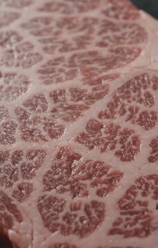 Beautifully marbled wagyu beef reveals intricate fat patterns beneath soft light and subtle cold vapor.