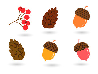 Autumn leaves and acorns illustration set on transparent background © Sowaiba Creative