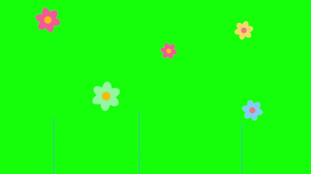 Flat vector animation featuring colorful daisy flowers floating across bright green background screen overlay with floating against vivid chroma key background