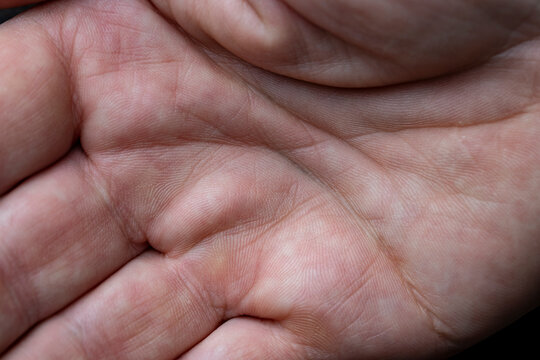 Closeup view of human palm lines and skin texture. Macro shot focusing on the detailed lines, creases, and patterns of an open human hand palm