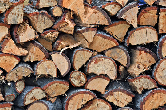 Closeup of oak woodpile 