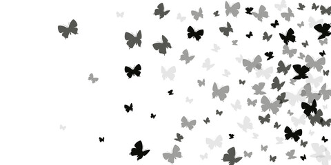 Exotic black butterflies cartoon background. Spring vivid insects. Detailed butterflies cartoon children wallpaper. Gentle wings moths graphic design. Tropical beings. © SunwArt