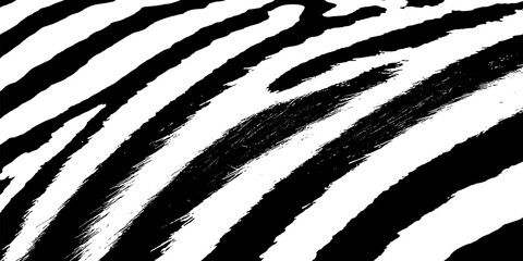 Zebra skin pattern black and white texture with wildlife monochrome abstract background contrast detailed backdrop © XUB 