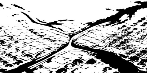 Obraz premium High contrast black and white texture of reptile scales with alligator crocodile abstract close up monochrome