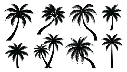 Fototapeta premium Hand Drawn Palm Tree Silhouette Collection with Tropical Coconut Trees for Beach, Summer, Vacation, Travel, Nature and Island Designs
