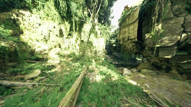 Sunlit Venezuelan jungle ravine with moss, covered fallen logs and boulder strewn creek, towering limestone cliffs framing narrow trail, dappled light filtering