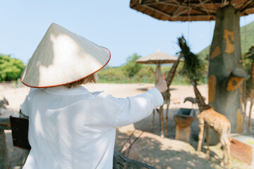 Elderly caucasian female in Viet hat feeds giraffes in traditional hat at zoo in amusement park Nha trang, Vietnam © Parilov