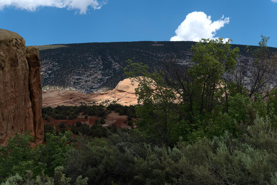 Dinosaur National Monument formation bathed in sun spotlight amidst trees