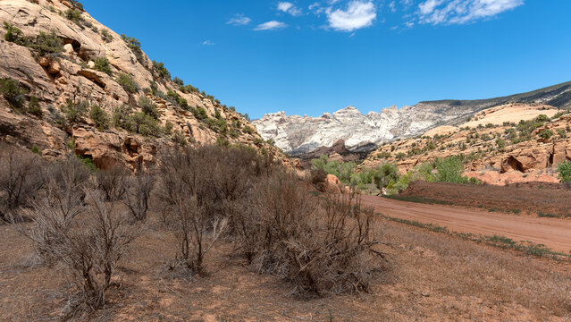 Formations along Cub Creek Road in Dinosaur National Monument with scrub trees in foreground