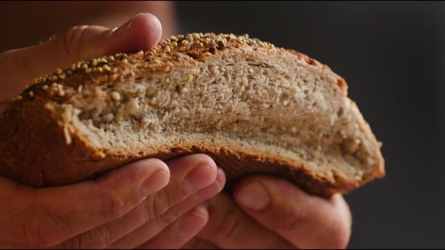 Bread multigrain loaf held in hands, whole wheat seeded crust with millet and seeds, close-up macro shot