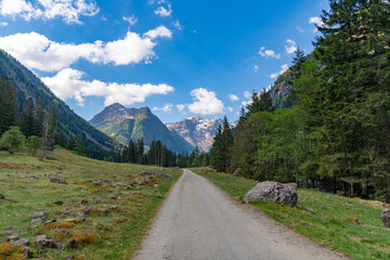 Obraz premium Scenic green hill mountain. Forest trail. Breathtaking summer day in wild mountain with coniferous forest trail. Mountain landscape trail. Road in mountainous landscape with cloudy sky