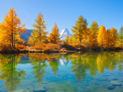 Matterhorn mountain in Switzerland reflects in a calm alpine lake. Scenic mountain landscape with colorful autumn trees under a clear sky in daytime.