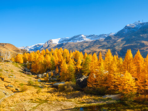 Scenic mountain landscape with colorful autumn trees under a clear sky in daytime. Vibrant fall foliage on hillsides and mountain peaks in daylight.