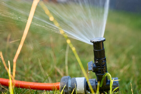 Lawn sprinkler sprays water across grass in garden on sunny day