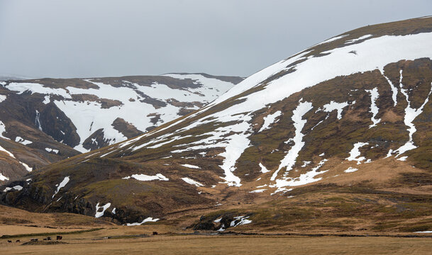 Vast iceland highlands landscape featuring snow capped mountains and brown fields under a grey sky in spring. Icelandic nature landscape