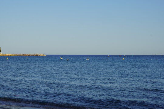 M&ouml;ve im Flug am Strand von La Seyne-sur-mer - Sablettes Beach