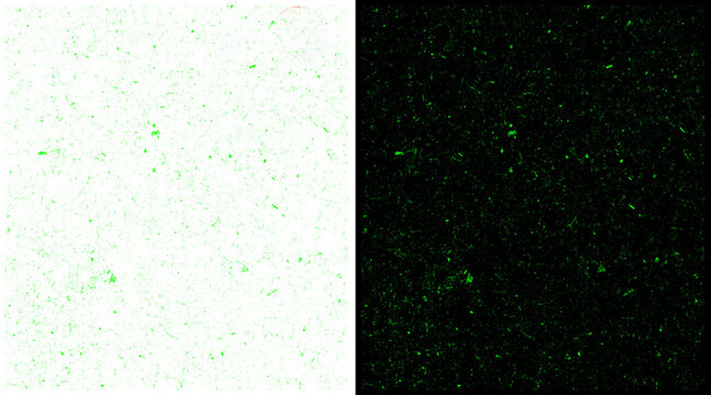 Minimalist green speckle texture, abstract grainy noise pattern on white and black background, subtle organic grit overlay