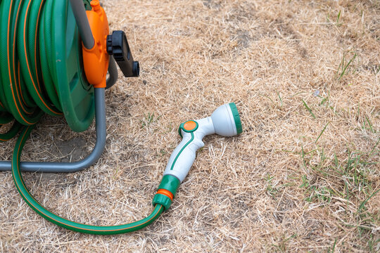 Dried-up, sunburnt grass which has turned yellow from a lack of water, with green hose pipe with grey watering nozzle laying on the ground. The resulting condition of a British garden lawn due to the 