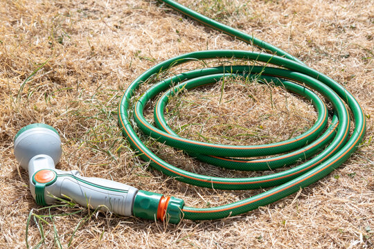 Dried-up, sunburnt grass which has turned yellow from a lack of water, with green hose pipe with grey watering nozzle laying on the ground. The resulting condition of a British garden lawn due to the 
