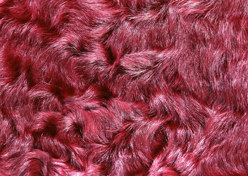 Red Fur Texture Macro Background