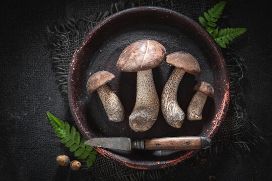 Aromatic and healthy mushrooms collected from deciduous forest.