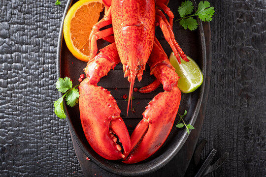 Steamed and fresh lobster as a low-calorie meal.