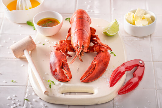 Cooked and tasty lobster as fresh mediterranean delicacy.