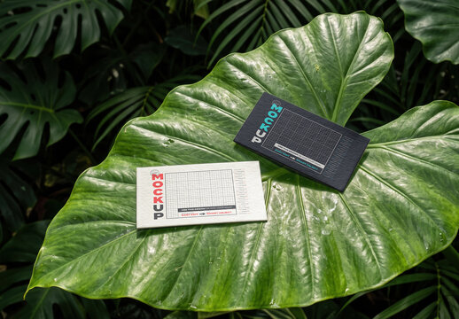 Business Cards on Tropical Leaf Mockup