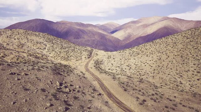 Winding namibia saddle route through dunes forming Y junction on sunbaked slope, scattered low shrubs, cloudfiltered light and exploratory journey feel