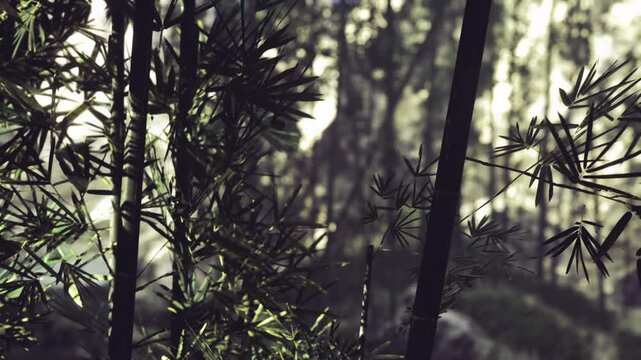 Closeup bamboo leaves and textured stalks, intricate veins and node patterns visible, soft filtered light, tactile natural surface ideal for eco and craft