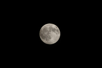 Fototapeta premium Full moon in the night sky