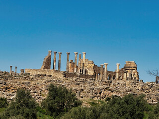 Fototapeta premium View of the ancient Roman ruins of Volubilis featuring stone columns, weathered walls, and green grass under a clear blue sky in El Menzeh, Fes-Meknes, Morocco.