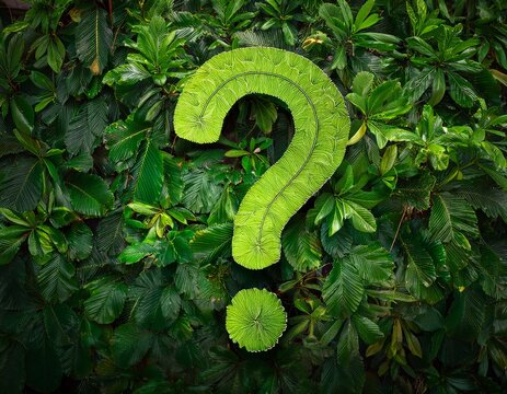 green question mark made of leaves on green foliage background