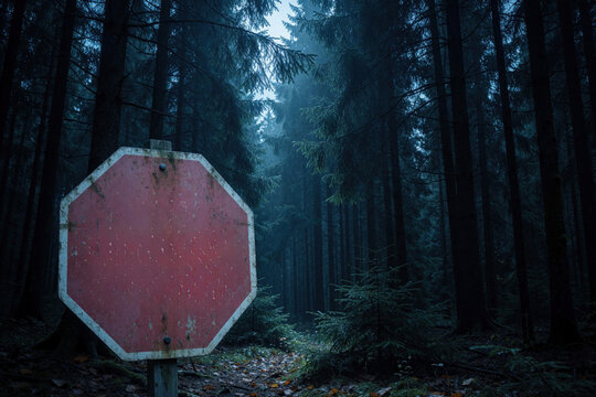 Weathered red stop sign stands in dark misty forest. Old octagonal marker warns against entry on overgrown path among tall trees in low light. Symbolizes prohibition danger or challenge ahead.