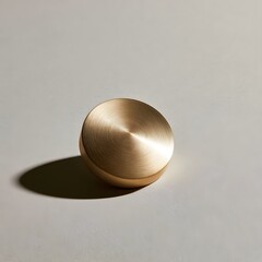 Fototapeta premium Single brass paperweight centered on a soft gray background with harsh diagonal shadow
