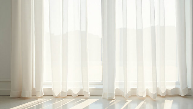 Sheer Curtain Texture with Daylight