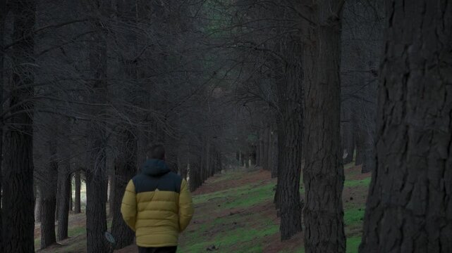 Person wearing a yellow jacket walking down a sloping path in a dense pine forest.