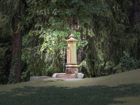 Fresh water flowing from a fountain amidst the green mountain woods