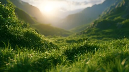Fototapeta premium Lush Green Valley at Sunrise with Cinematic Lighting