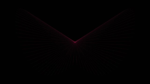 Symmetrical red glowing lines forming a complex capillary network on dark backdrop