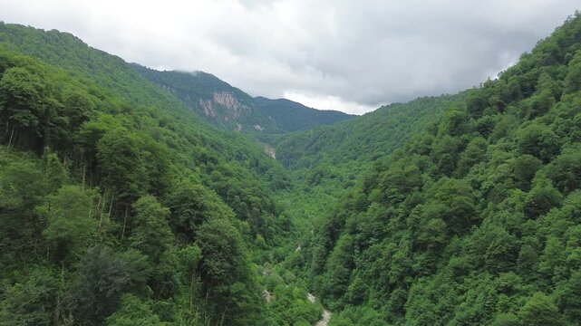 Aerial view flying through a mountain gorge above a river and approaching a forested peak in the Egrisi Range, with clouds moving over the summits, Georgia.