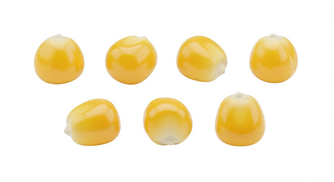 isolated kernels of corn on a white backdrop food preparation for cooking and healthy eating possible use in recipe illustrations